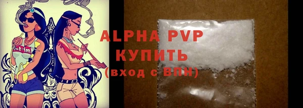 прущие грибы Надым