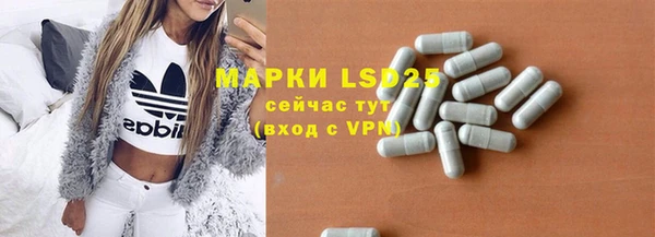 прущие грибы Надым