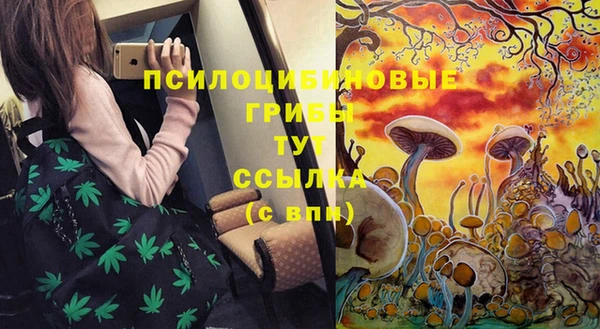 стаф Володарск