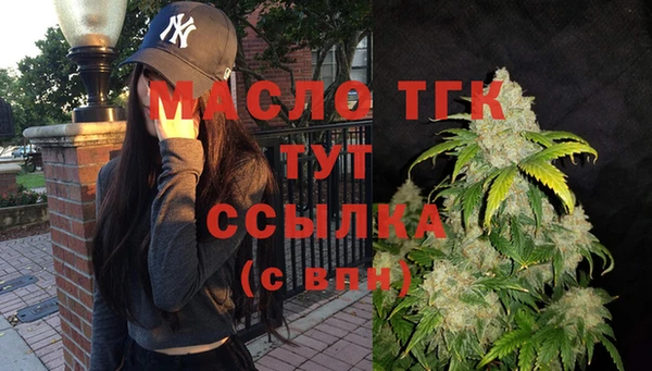 прущие грибы Надым