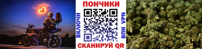 купить Каменск-Шахтинский Бошки марихуана THC 21%